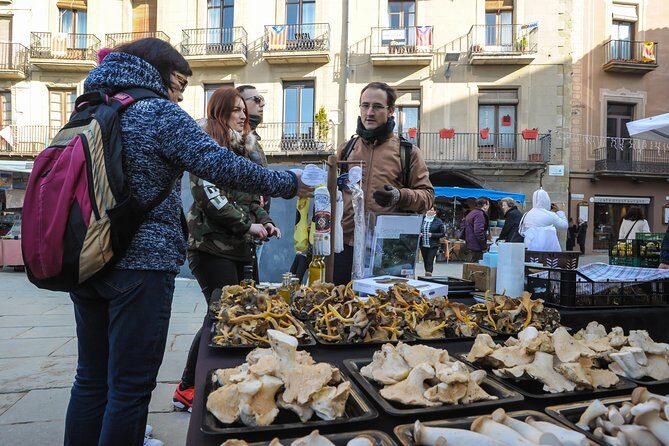 Pyrenees & Medieval Towns Small Group Tour from Barcelona - The Sum Up: Who Will Love This Tour?