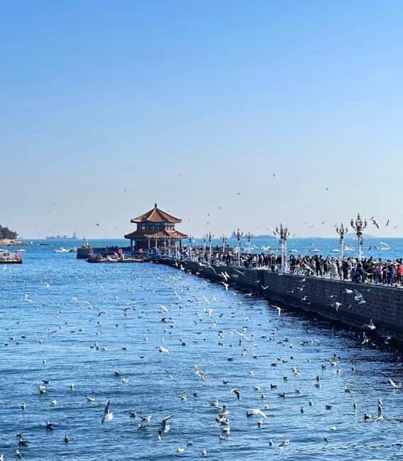 Qingdao Charm: History, Crafts, Offshore View & Night Market - Who Should Take This Tour?