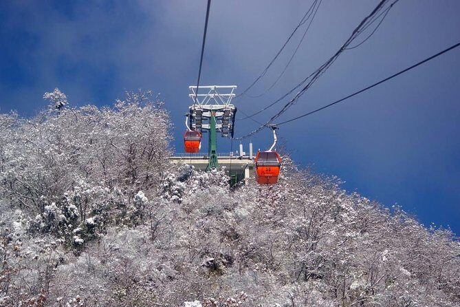 Qingdao Private Day Trip to Mutianyu Great Wall with Cable Car or Toboggan Ride - Who Will Love This Tour?