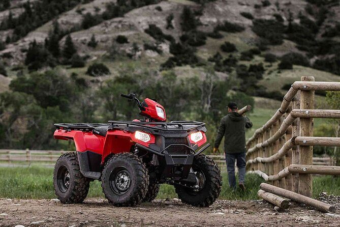 Quad Bike Safari in the Wilderness (ATV) - Key Points