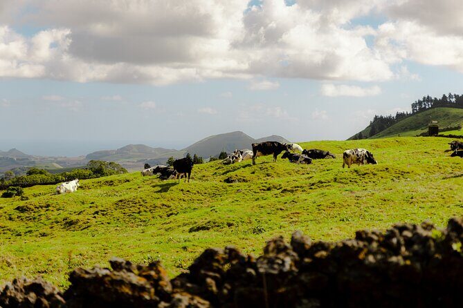 Quad Bike Tour - Lagoa de Fogo (Half Day) - A Close Look at the Quad Bike Experience