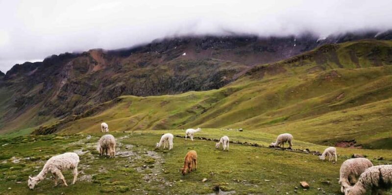 Quad biking excursion to Rainbow Mountain. - Key Points