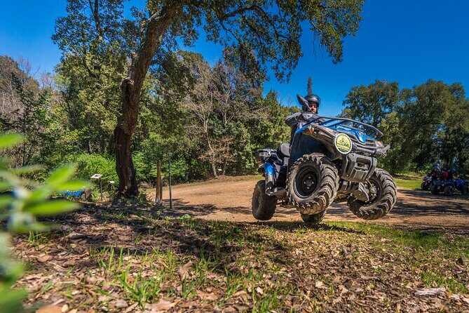Quad excursion in the Maremma with barbecue in the woods - A Deep Dive into the Quad Experience
