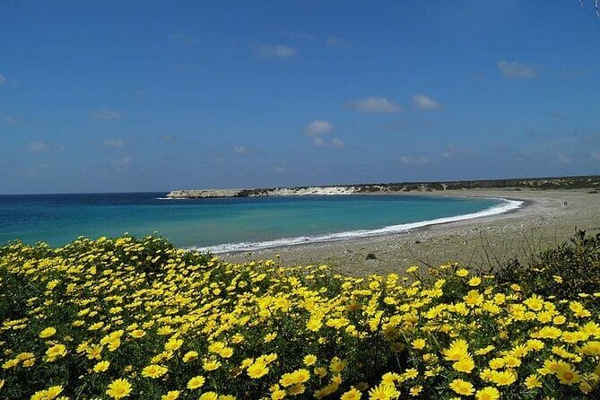 Quad or Buggy Tour from Coral Bay to Lara Bay - Who Should Consider This Tour?