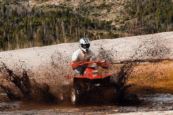 Quad Safari Experience in Alanya (Adventure Tour) w/ Free Hotel Transfer - The Sum Up: Is This Tour Right for You?