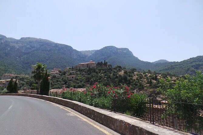Quad tour from Paguera 3 hours - Final Thoughts