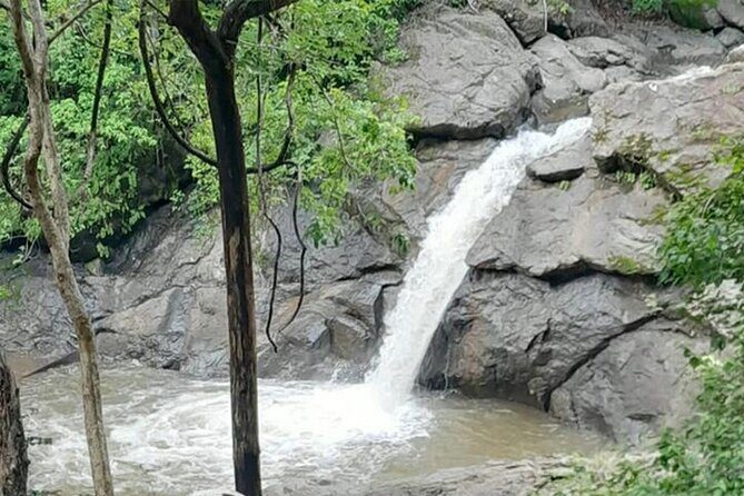 Quad tour in Guanacaste with Pickup - FAQ