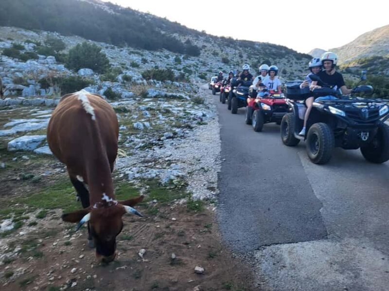Quad tour to Biokovo Skywalk - The Itinerary: What to Expect from Start to Finish