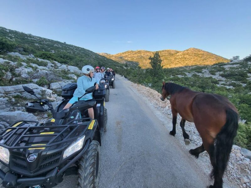 Quad tour to Biokovo Skywalk - Authentic Insights from Reviews