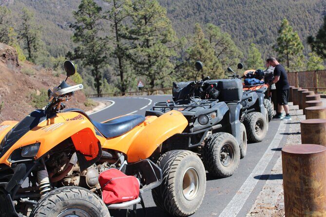 Quad Tour to the Teide National Park (3.5H) - A Detailed Look at the Tour Experience
