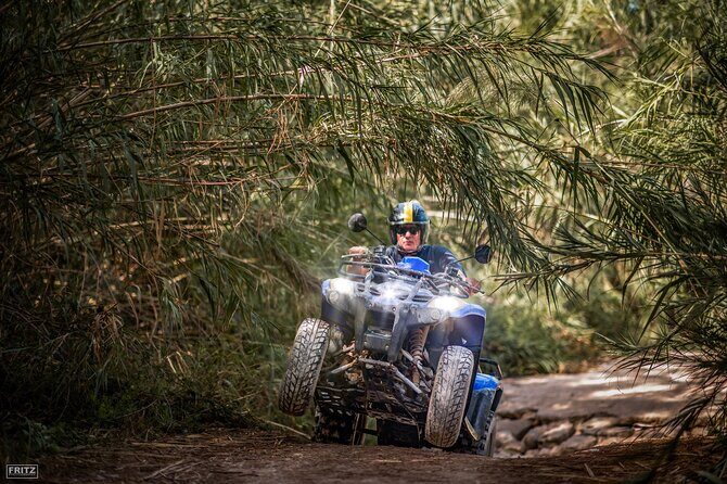Quad tours Benidorm - A Longer Look at the Experience