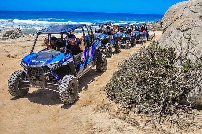 Quadruple or Double Razor Tour on Beach and Desert from Cabo San Lucas - The Real Value: What Travelers Say