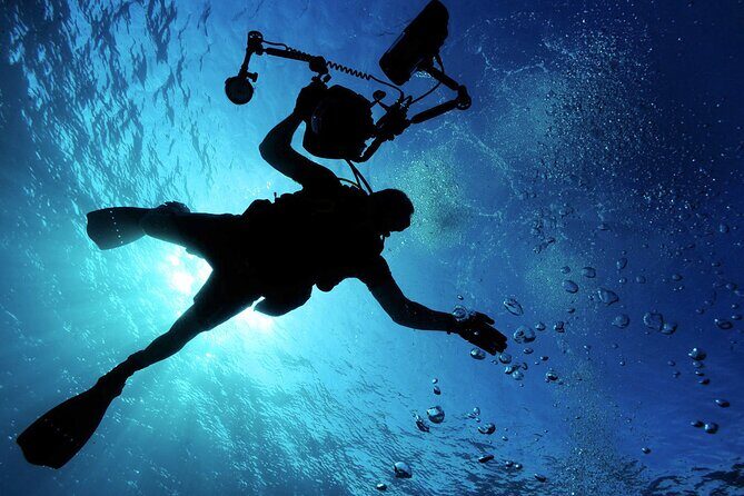 Qualified Diver 1 Tank Dive in Mykonos - Key Points