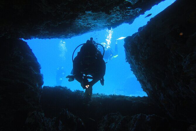 Qualified Diver 1 Tank Dive in Mykonos - Final Thoughts: Who Is This Tour Perfect For?