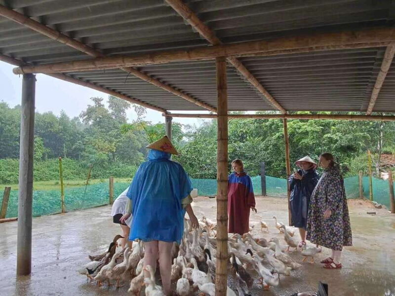 Quang Binh: Explore Phong Nha Cave and Experience Rural Life - FAQ