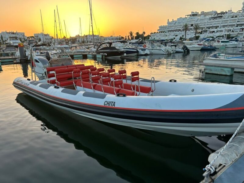 Quarteira: Algarve Coast, Caves and Dolphin Watching Cruise - What’s Included — and What’s Not