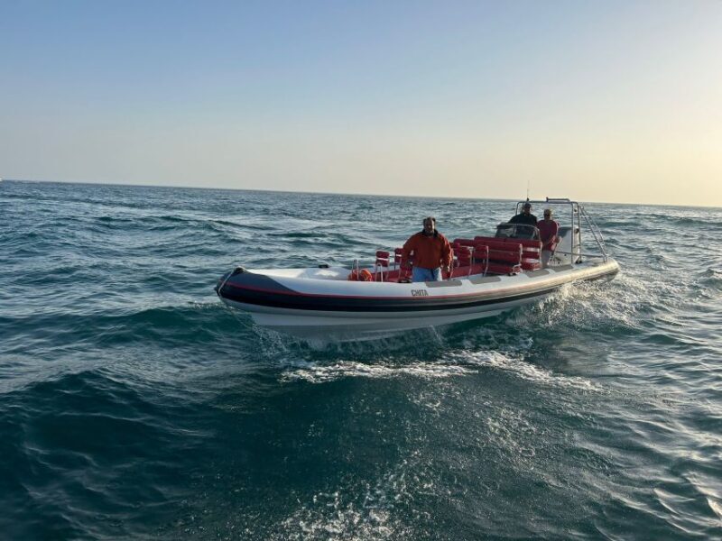 Quarteira: Algarve Coast, Caves and Dolphin Watching Cruise - Authentic Experiences Backed By Rave Reviews
