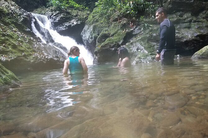 Quashie River Hiking in Cockpit Country Experience - Exploring the Journey: What You Can Expect