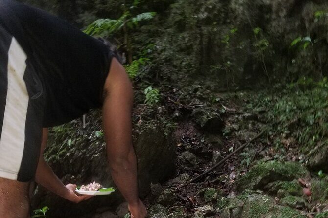 Quashie River Hiking in Cockpit Country Experience - Who’s This Tour Best For?