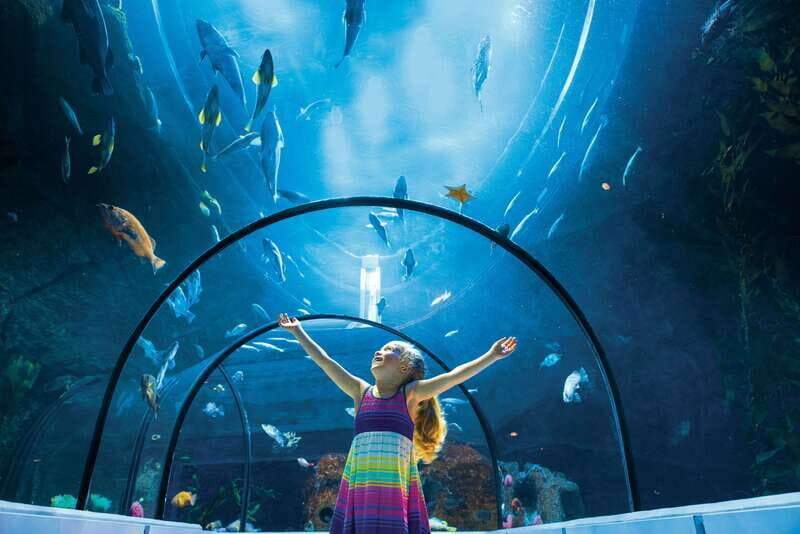 Quebec: Aquarium du Quebec Entry Ticket - A Closer Look at the Visit