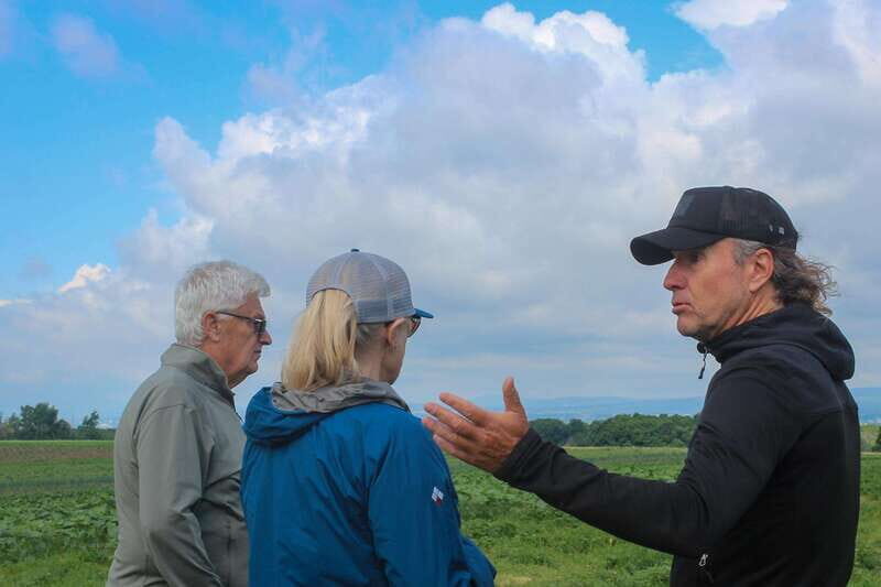 Quebec City - Agricultural Walking Tour on Ile d'Orléans - The Itinerary Breakdown