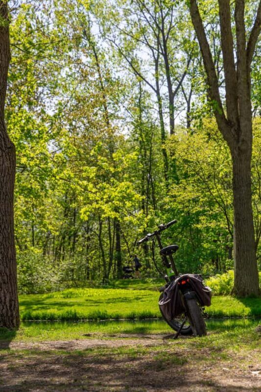 Quebec City: E-Bike Tour to Le Grand Marché - Food Scene - An In-Depth Look at the E-Bike Tour Experience in Québec City