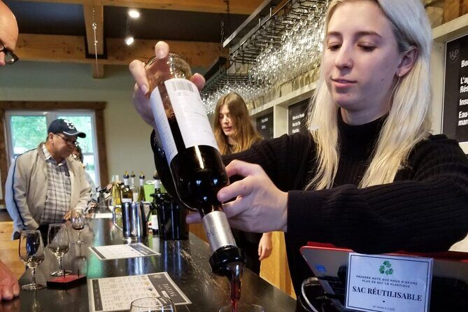 Quebec City - Electric Bike Rental on Ile d'Orléans - A Deep Dive into the Île dOrléans Electric Bike Tour