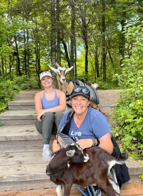 Quebec City: Guided Goat Hike & Beaver Dam Visit with Picnic - Why This Tour Is Worth Considering