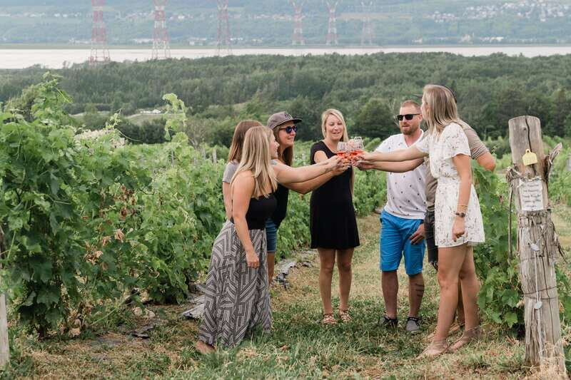 Quebec City: Island of Orleans Wine Tour - An In-Depth Look at the Quebec City: Island of Orleans Wine Tour