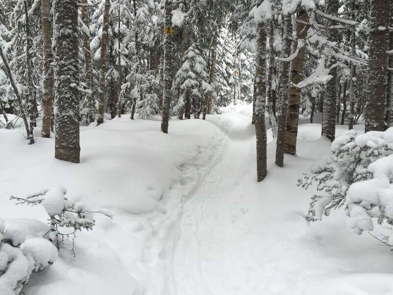 Quebec City: Jacques-Cartier National Park Snowshoeing Tour - Who Will Love This Tour?