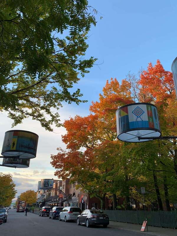 Quebec City: Montcalm & St-Jean Baptiste Walking Tour (2,5h) - Key Points