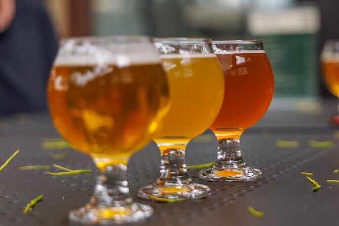 Quebec City: Montmorency Falls and Microbrewery eBike Tour - Final Thoughts