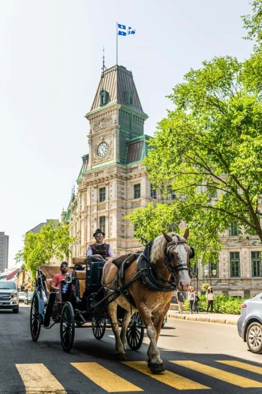Québec City: Private Walking Tour of City Highlights - Who Would Love This Tour?