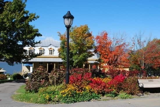 Quebec: City Tour, Montmorency Falls & Île d'Orléans Tour - An In-Depth Look at Quebec’s Best Highlights