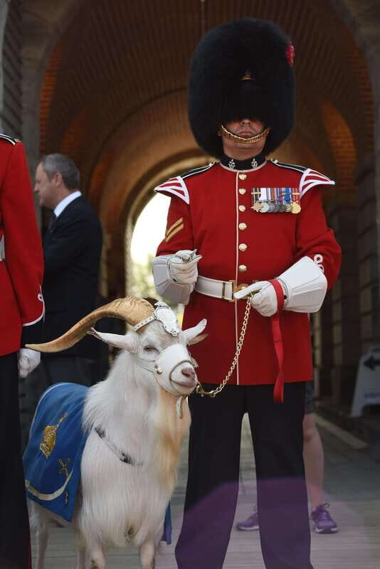 Quebec: La Citadelle de Québec Ticket and Guided Tour - Key Points