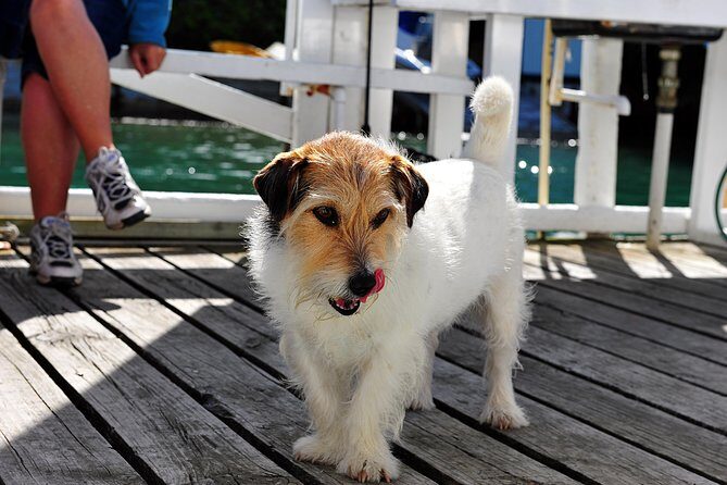 Queen Charlotte Sound Mail Boat Cruise - The Sum Up