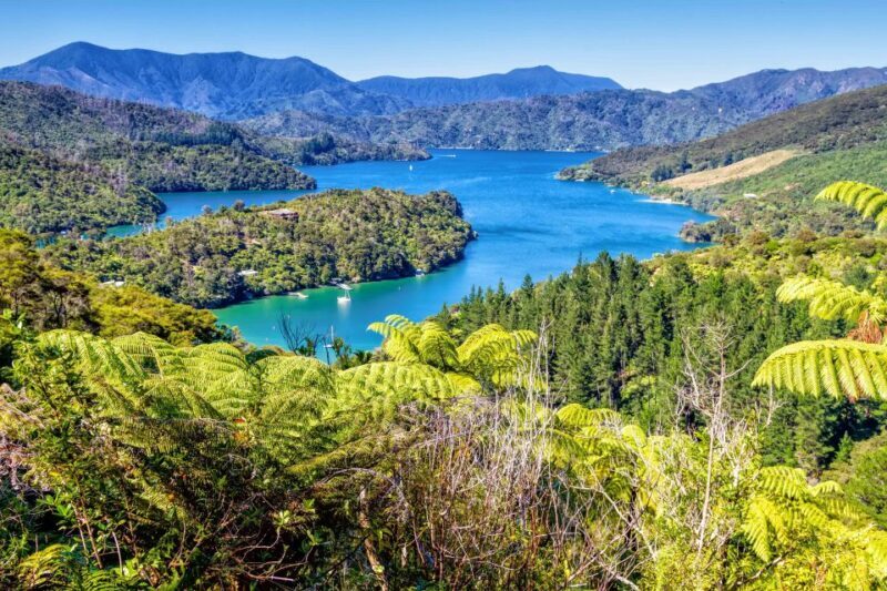 Queen Charlotte Track: Cruise & Self-Guided Hike from Picton - Who Will Enjoy This?