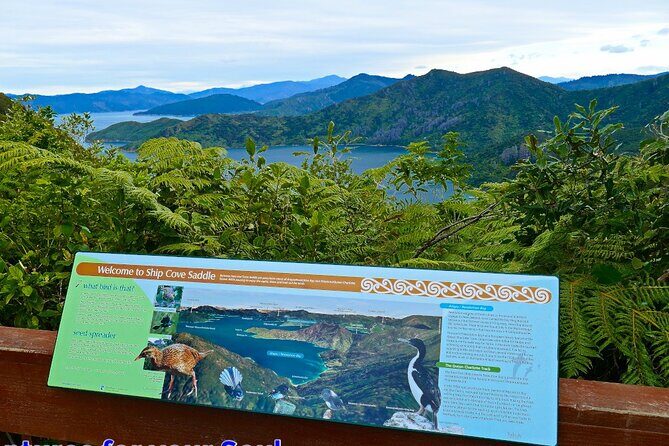 Queen Charlotte Track Ultimate 1 day Guided Captain Cook - Final Thoughts: Is It Worth It?