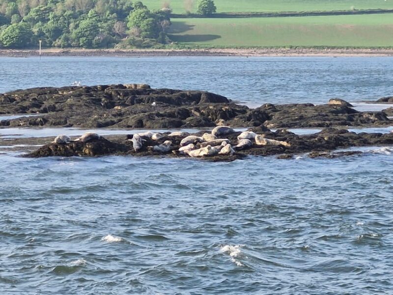 Queensferry: Sightseeing Cruise to Inchcolm Island - Final Thoughts