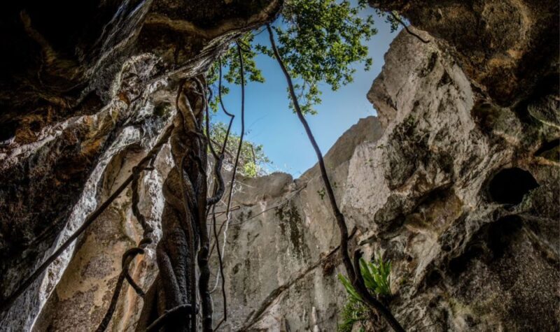 Queensland: 90 Minute Capricorn Caves Explorer Tour - The Sum Up: Who Should Consider This Tour?