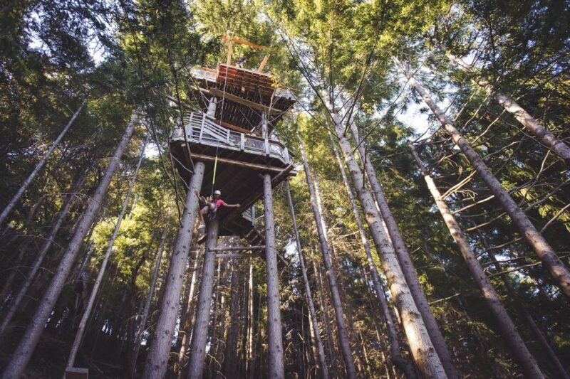 Queenstown: 1-Hour Zipline Tour with 2-Lines & 21-Meter Drop - Final Thoughts