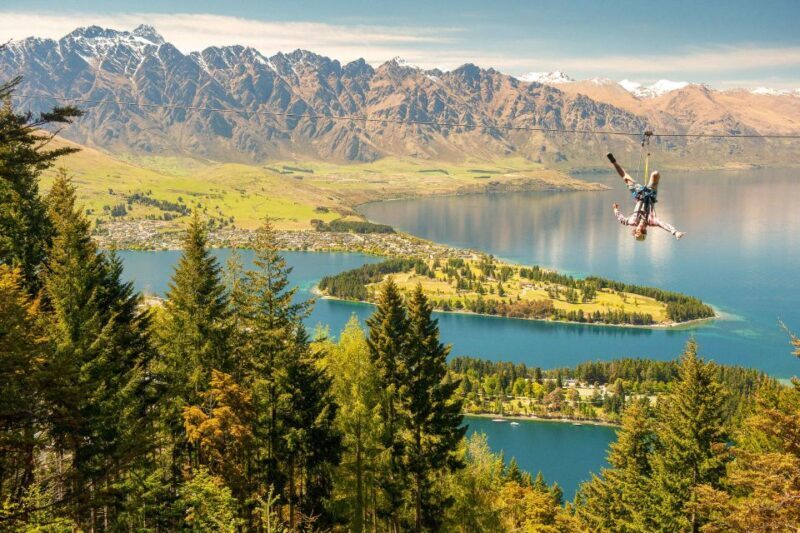 Queenstown: 3-Hour Zipline Adventure with 6-Lines - Key Points