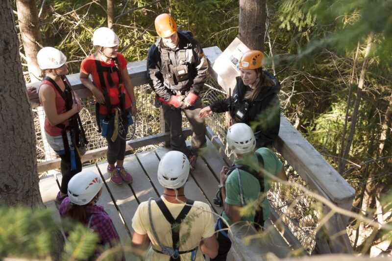 Queenstown: 3-Hour Zipline Adventure with 6-Lines - Price and Value