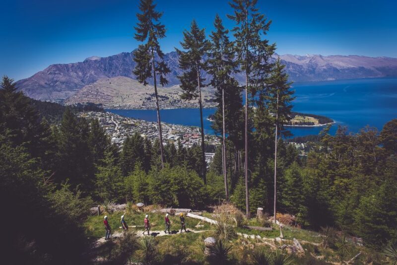 Queenstown: 3-Hour Zipline Adventure with 6-Lines - A Detailed Breakdown: The Itinerary