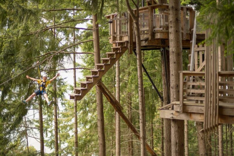 Queenstown: 3-Hour Zipline Adventure with 6-Lines - Authentic Traveler Insights