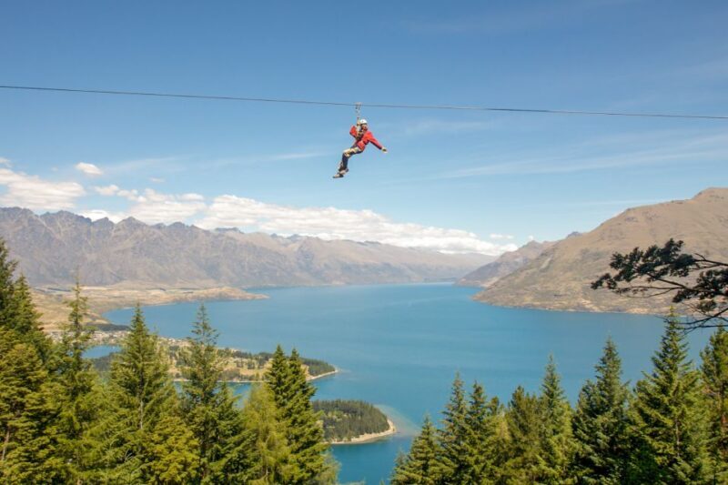 Queenstown: 3-Hour Zipline Adventure with 6-Lines - The Sum Up