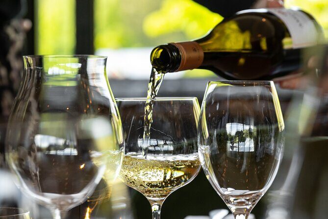 Queenstown Afternoon Wine Tour | Adults Only - Final Thoughts