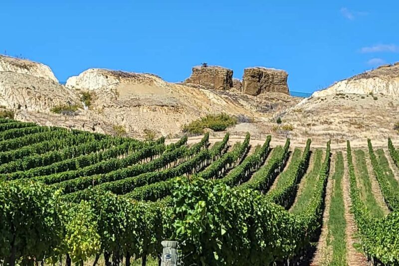Queenstown: Central Otago Wine Tour - Final Thoughts