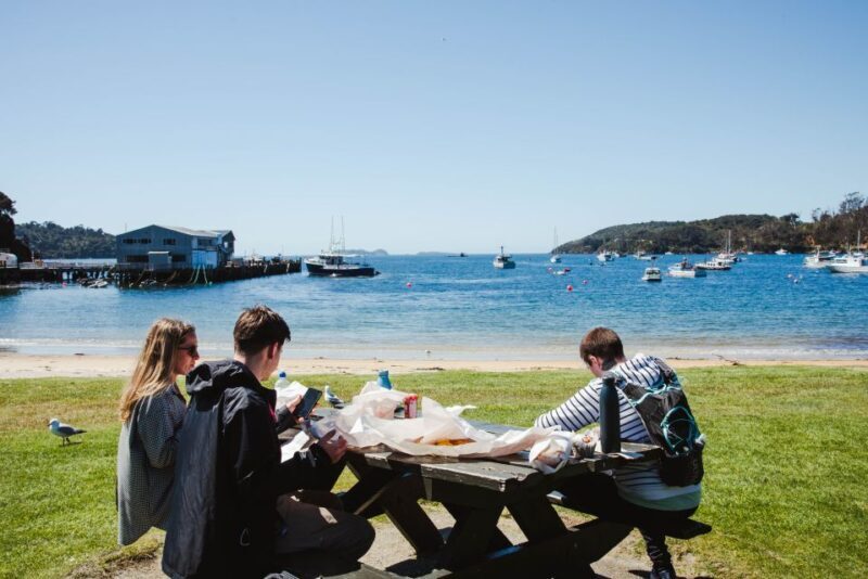 Queenstown: Day Trip to Stewart Island via Scenic Flight - Exploring Stewart Island at Your Leisure