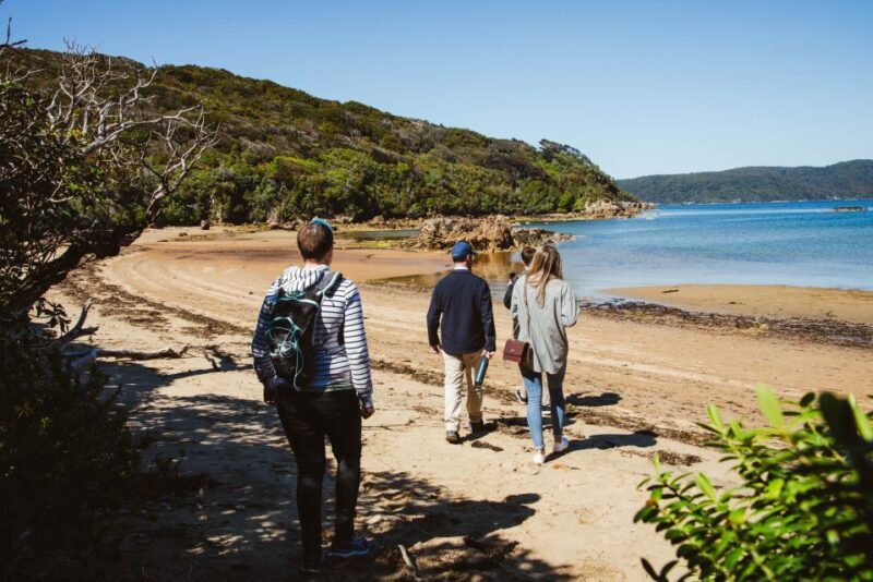 Queenstown: Day Trip to Stewart Island via Scenic Flight - The Return Flight and Logistics